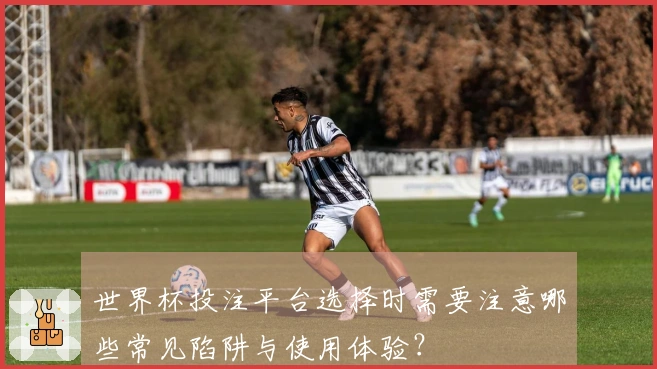 世界杯投注平台选择时需要注意哪些常见陷阱与使用体验？