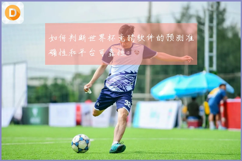如何判断世界杯竞猜软件的预测准确性和平台可靠性