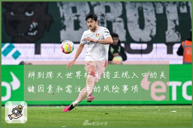 辨别烽火世界杯竞猜正规入口的关键因素和需注意的风险事项