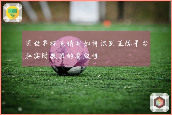 买世界杯竞猜时如何识别正规平台和实时数据的有效性