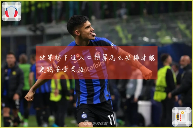 世界杯下注入口预算怎么安排才能更稳妥会灵活