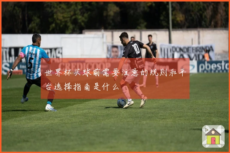 世界杯买球前需要注意的规则和平台选择指南是什么