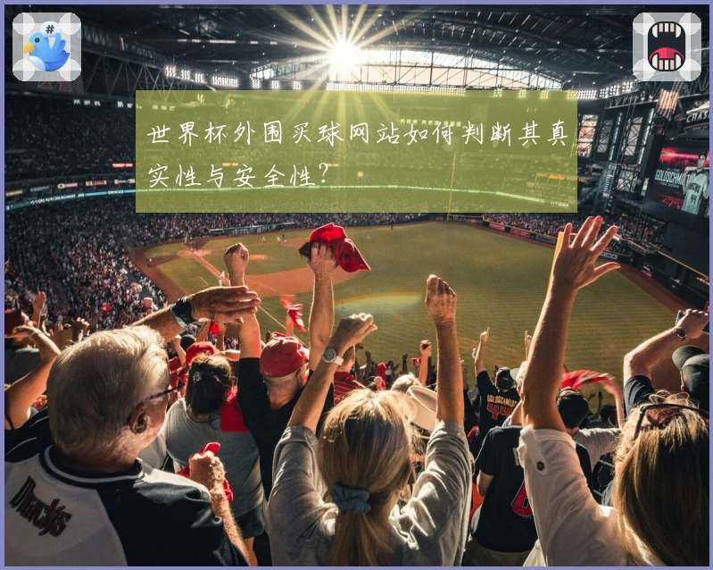 世界杯外围买球网站如何判断其真实性与安全性？
