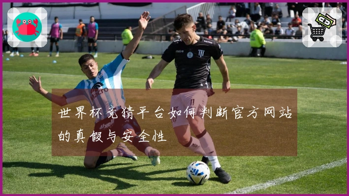 世界杯竞猜平台如何判断官方网站的真假与安全性