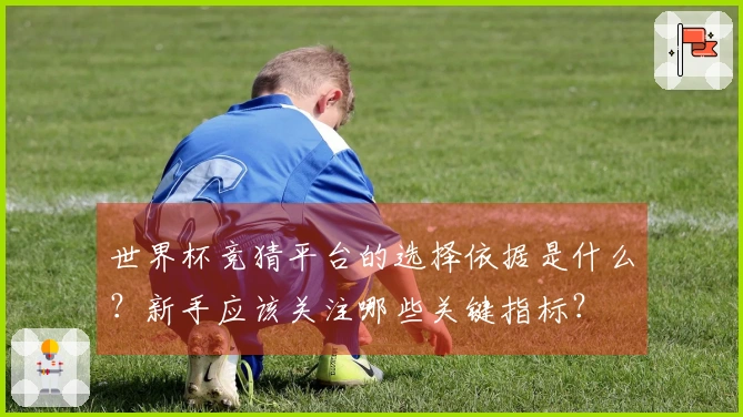 世界杯竞猜平台的选择依据是什么?新手应该关注哪些关键指标?