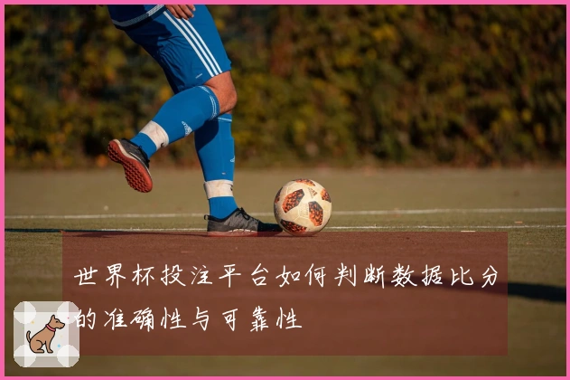 世界杯投注平台如何判断数据比分的准确性与可靠性