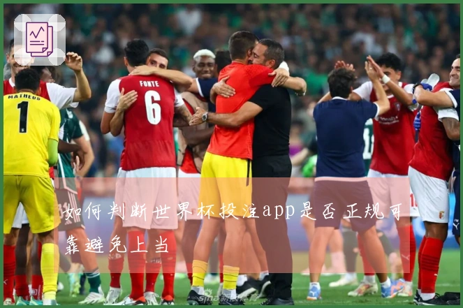 如何判断世界杯投注app是否正规可靠避免上当