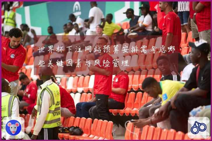 世界杯下注网站预算安排需考虑哪些关键因素与风险管理