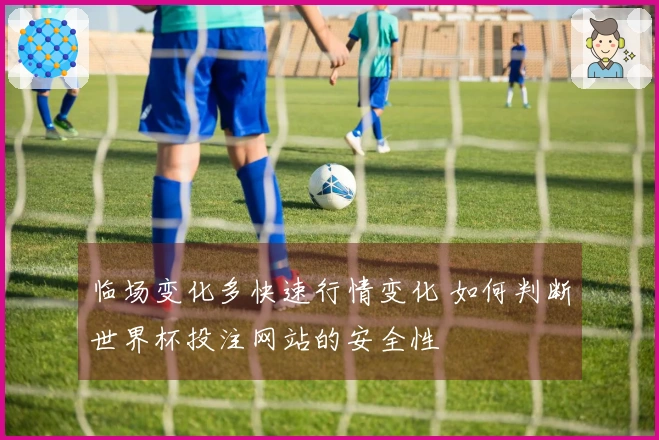 临场变化多快速行情变化 如何判断世界杯投注网站的安全性