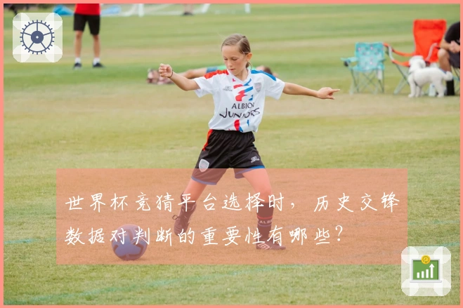 世界杯竞猜平台选择时，历史交锋数据对判断的重要性有哪些？