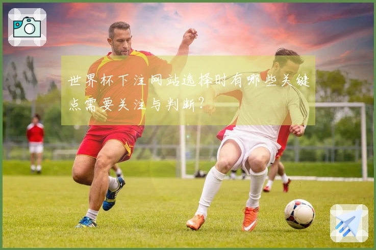 世界杯下注网站选择时有哪些关键点需要关注与判断？
