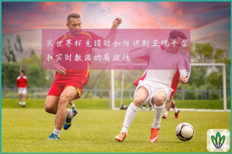 买世界杯竞猜时如何识别正规平台和实时数据的有效性