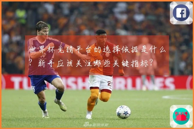 世界杯竞猜平台的选择依据是什么？新手应该关注哪些关键指标？