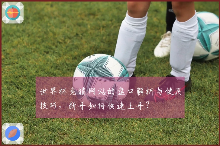 世界杯竞猜网站的盘口解析与使用技巧，新手如何快速上手？