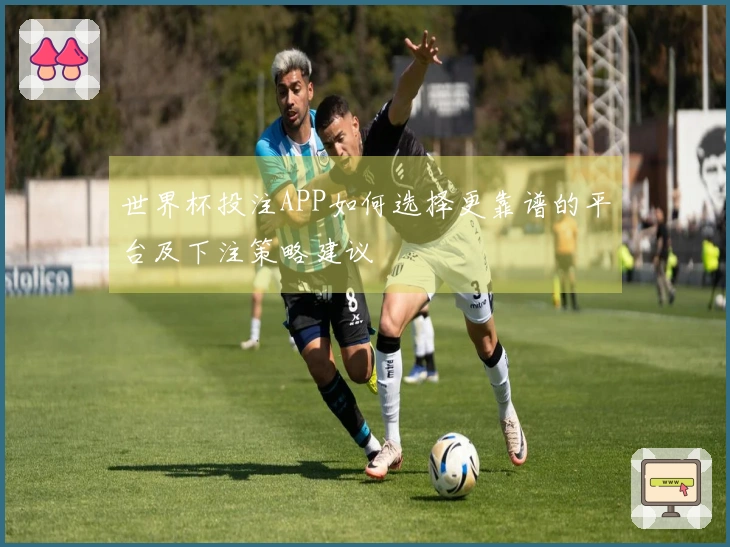 世界杯投注APP如何选择更靠谱的平台及下注策略建议