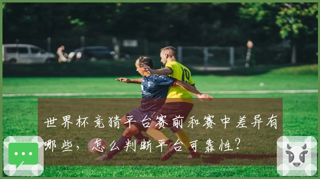 世界杯竞猜平台赛前和赛中差异有哪些，怎么判断平台可靠性？
