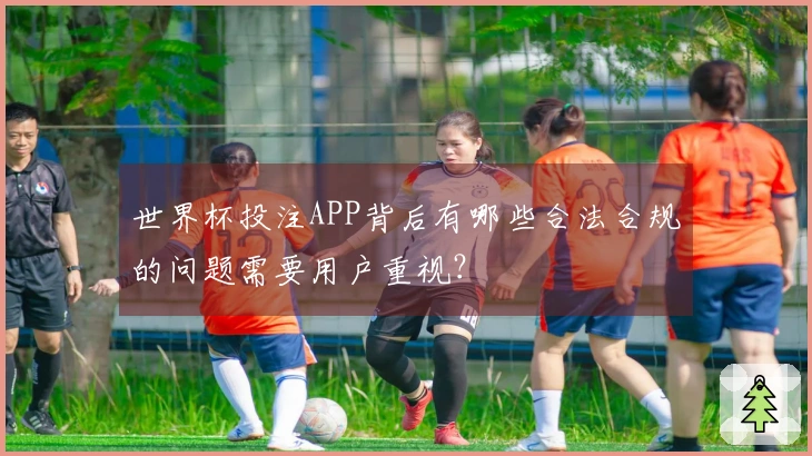 世界杯投注APP背后有哪些合法合规的问题需要用户重视？